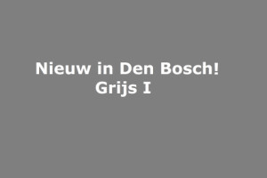 Grijs I: Den Bosch verdient beter